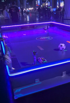 Arena Video